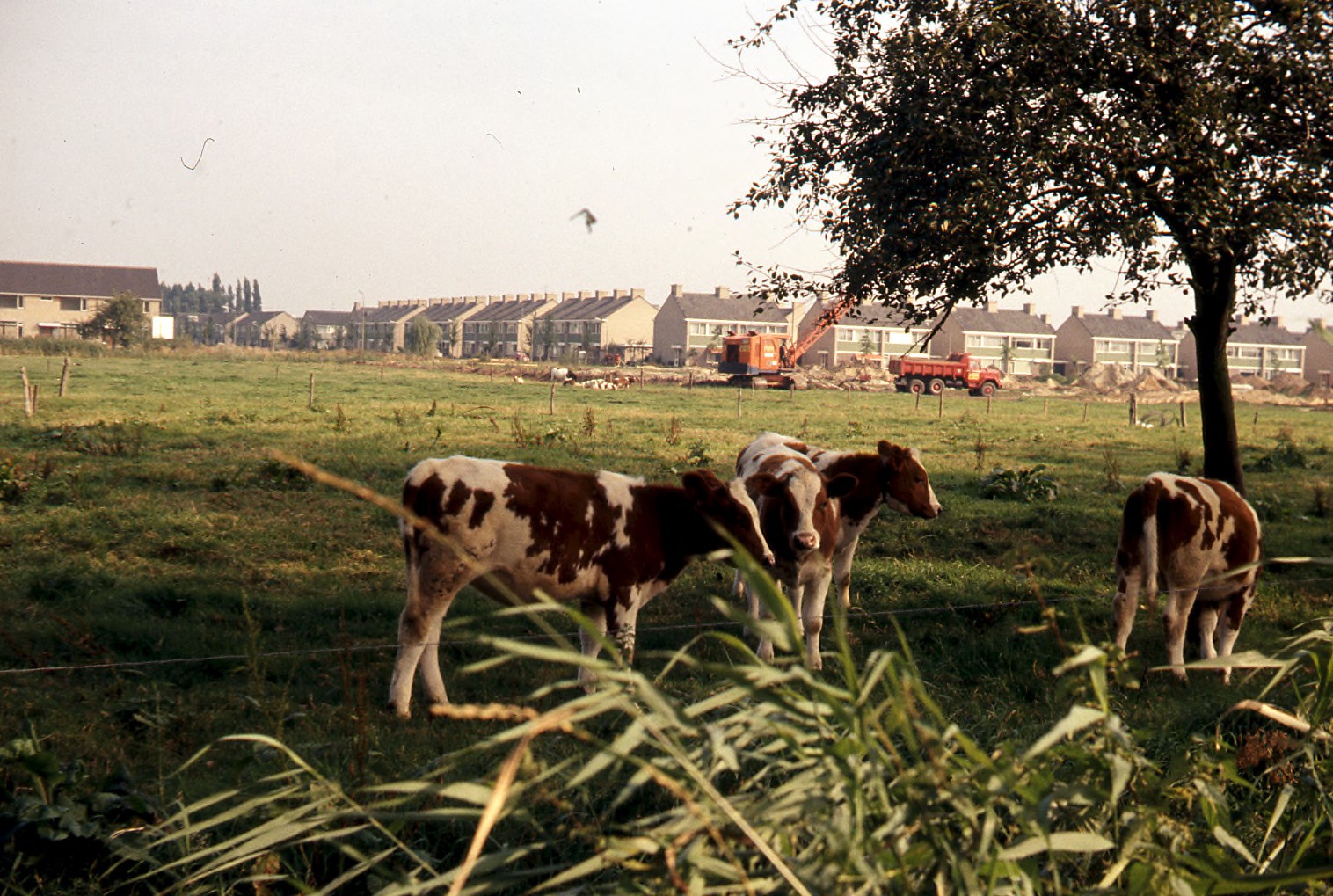 Nieuwbouwwijk De Baarzen in aanbouw (1972), collectie Vera Delleman - de Kort