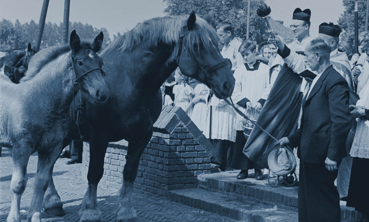 Paardenzegening. Esch, 1952.