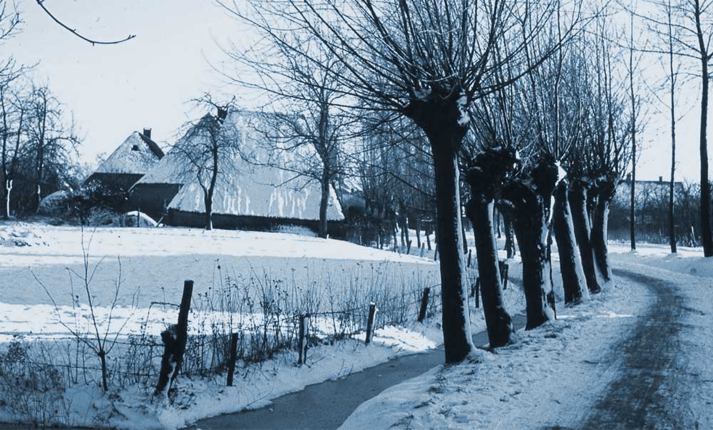 Winter in Den Dungen, c. 1956-1959.
