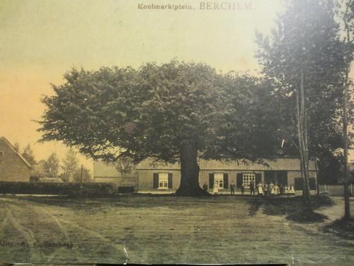 Het Plekske, met de lindenboom, 1935 (bron: Berchs-Heem)