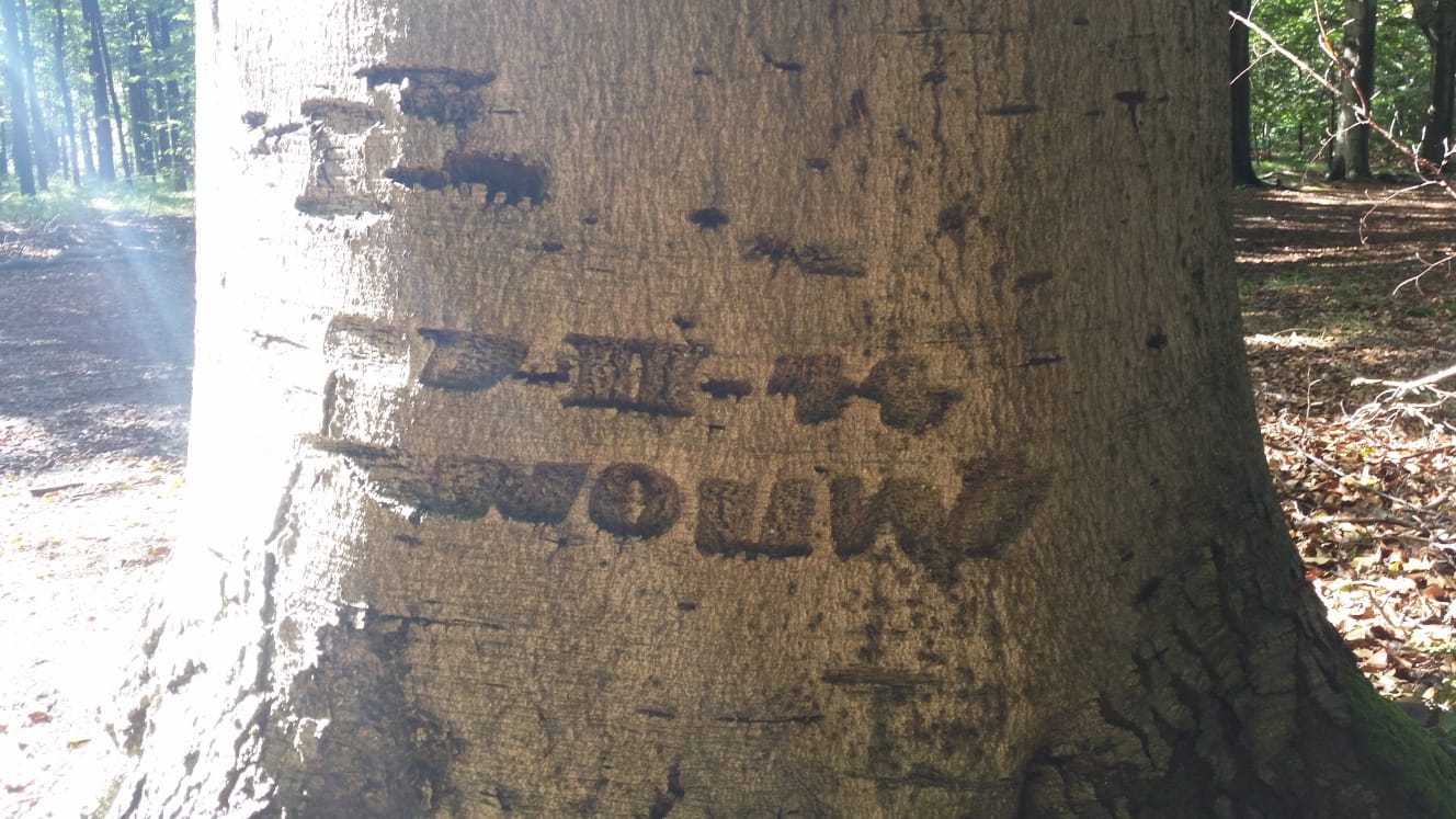 Inscriptie uit de Tweede Wereldoorlog in een boom bij Wouwse Plantage (foto: © Aart van Bockel)
