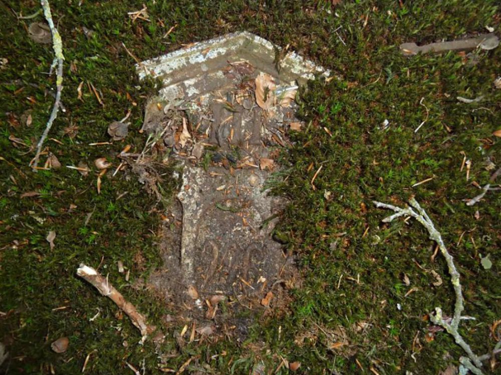 Het graf van de 22-jarige veroordeelde op een begraafplaats in Ermelo. 
