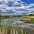 Van polder tot Nationaal Park De Biesbosch