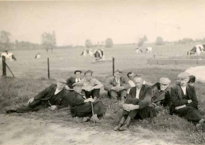 Foto's beschrijven: Koeienschatters in Venhorst, jaren vijftig (coll. A. v. Lankvelt)