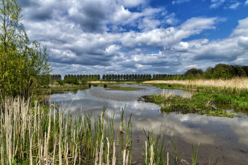 2017 Nationaal Park De Biesbosch, het Laarzenpad De Tongplaat (Creative Commons)