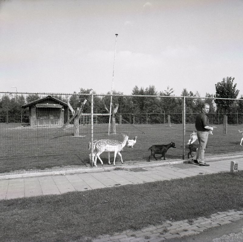 Dierenpark in de Cuijkse wijk Den Oeiep
