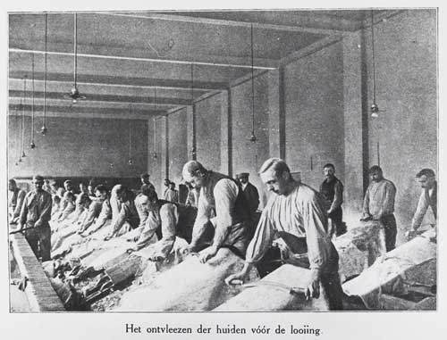 Lederindustrie. Firma J. Bressers, Eerste Koninlijke Lederfabriek Dongen. Het ontvlezen en ontharen van de huiden voor de looiing, 1913 (055435, RAT)