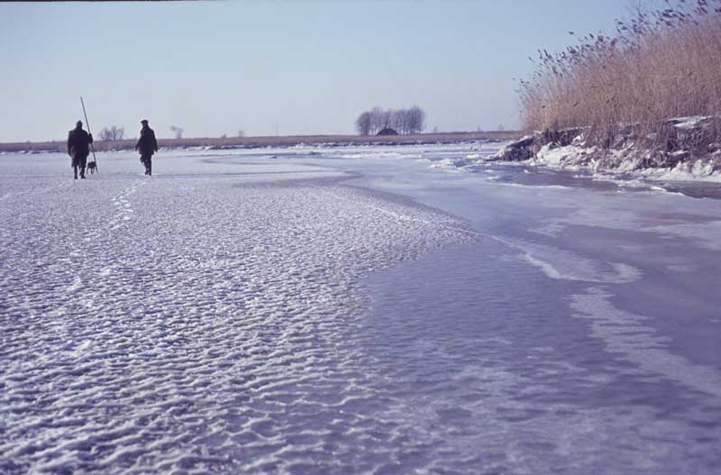 Het Spijkerboor in de winter van 1963 met op de achtergrond de griendkeet waar ze konden rusten op hun barre tocht.(bron: Bron: St. Archief*Kring Hank)