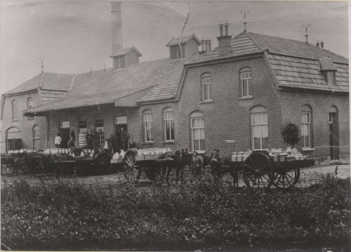 Melkontvangst bij de zuivelfabriek te Haps, ca. 1915 (Het Zuiden, BHIC)