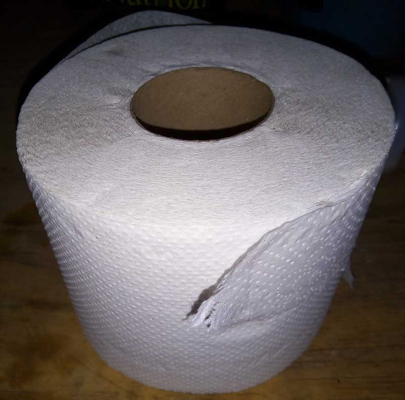 WC-papier (bron: Wikimedia Commons. Publiek domein)
