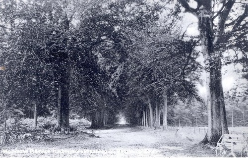 Huijbergen, Wouwse Plantage, 1934 (WBA, Gemeentearchief Roosendaal, K20258)