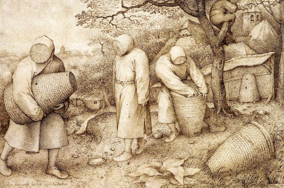 Imkers aan het werk. Tekening van Pieter Brueghel de Oude (1525/1530-1569).