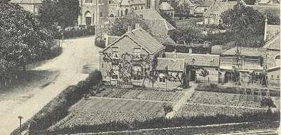 De rozenkwekerij in 1915