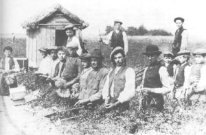 Werkers op de kwekerij, ca. 1919