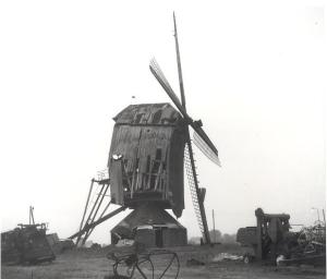 Wanroij, molen De Ster in verval, 1974