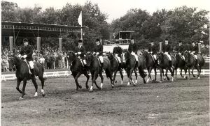 Wanroij, paardenconcours in 1988