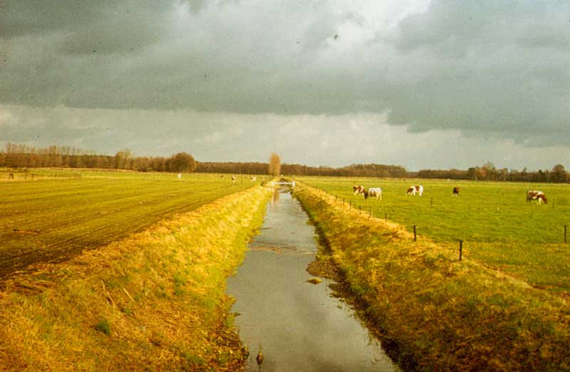De genormaliseerde Zandleij bij de Schoorstraat onder Udenhout, 1970 (BHIC, coll. Waterschap De Zandleij)