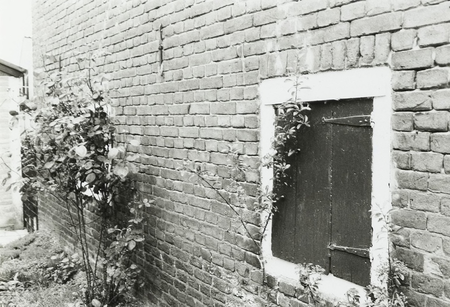 Detail van een muur, Gemonde 1980 (foto: Wies van Leeuwen/Provincie Noord-Brabant, collectie BHIC: PNB001009683)