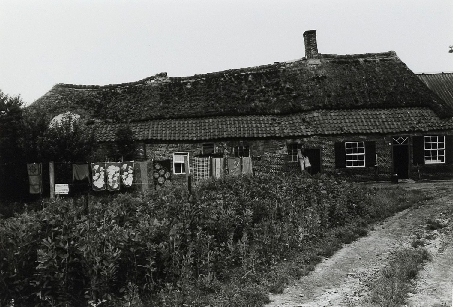 Den achter Berg 3, Liempde 1980 (foto: Wies van Leeuwen/Provincie Noord-Brabant, collectie BHIC nr. PNB001039180)