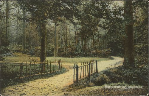 Bruggetje in het Engelse Park van het Liesbos, 1910 (bron: Stadsarchief Breda)