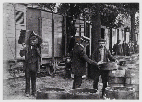 RAW014030129 - Goederentram van de ZNSM bij De Wissel in Zundert die geladen wordt met frambozen. Op de voorgrond met hoed Cornelis Victor de Bie 1878-1926, 1910
