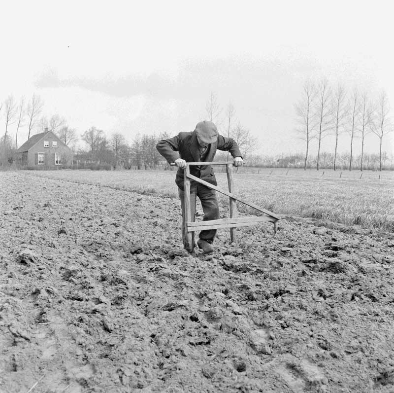 Aardappels poten (BHIC, foto 1946-000279)
