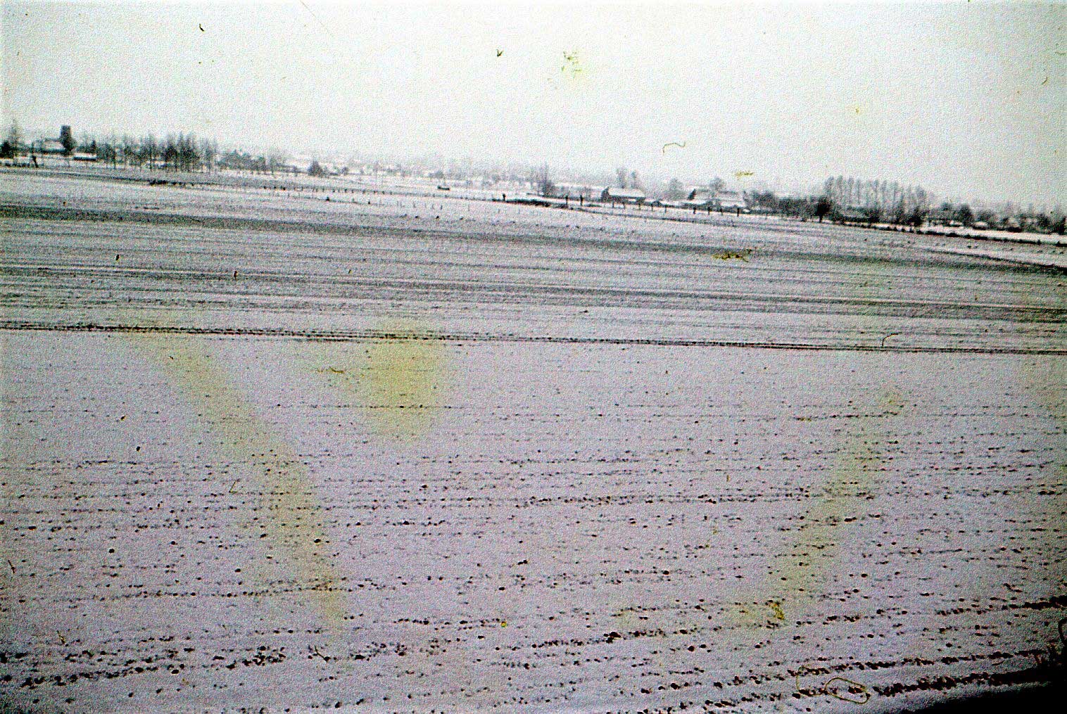 Winter. Op de voorgrond de omgeploegde en weer met koren ingezaaide akkers. Links de molenromp van Toon van Heeswijk op buurtschap Hoenderbosch, rechts boerderijen van de Hulstheuvel (foto: © Rini de Groot)