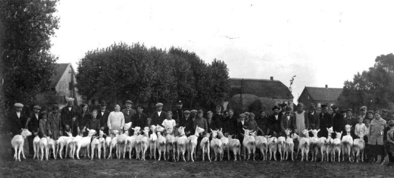 een foto met de geitenfok vereniging (Karel staat helemaal links) 