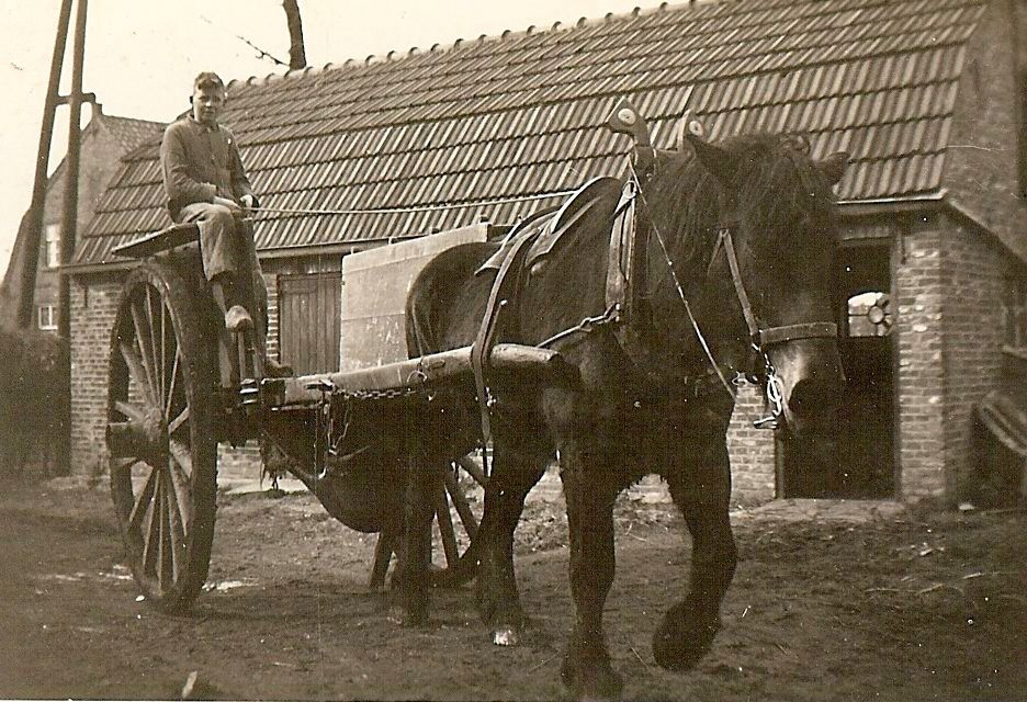 met het paard het land bewerken, jaren vijftig