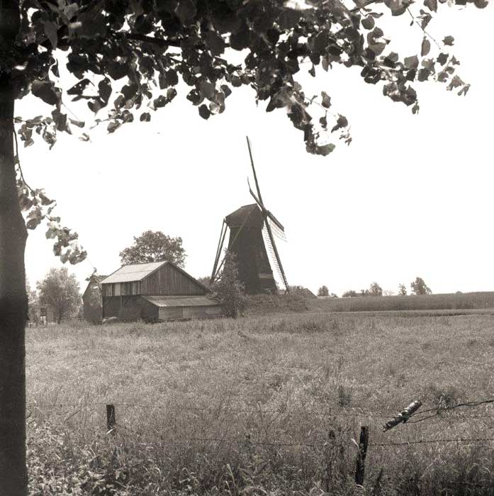 Vinkelse molen, 13 juni 1964 (foto: Rini de Groot)