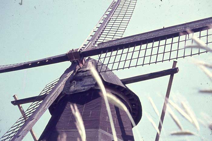 Vinkelse molen, 13 juni 1964 (foto: Rini de Groot)