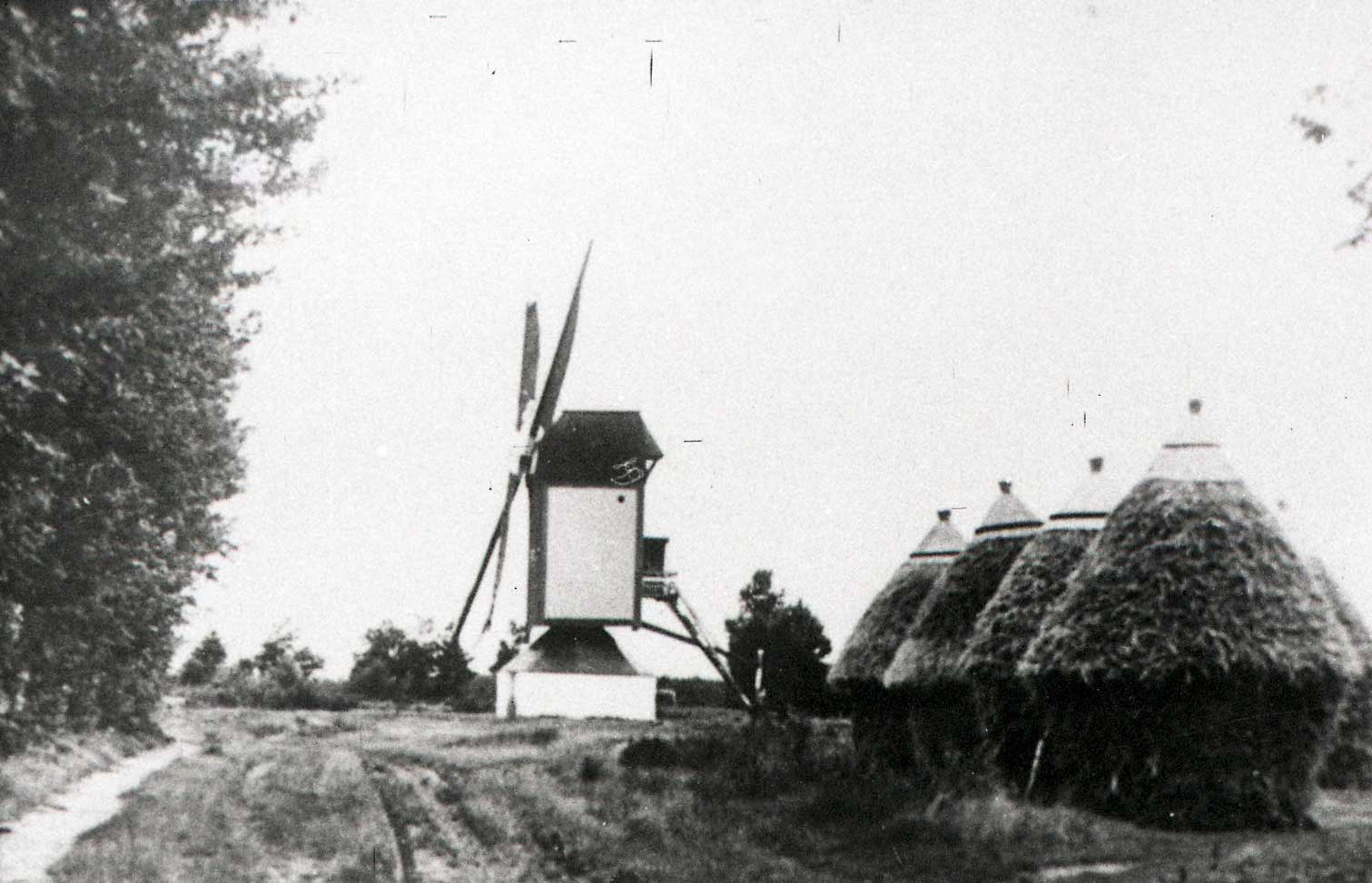 The Koeveringse mill with five haystacks was built during the rule of Duke John II in 1299. This was the oldest windmill in Schijndel and stood on the border of Sint Oedenrode, Schijndel and Veghel villages with grinding rights for the three municipalities.  Set on fire during the war in October 1944 (photo: C.J.A. van Helvoort. BHIC nr. 1572-08-061)