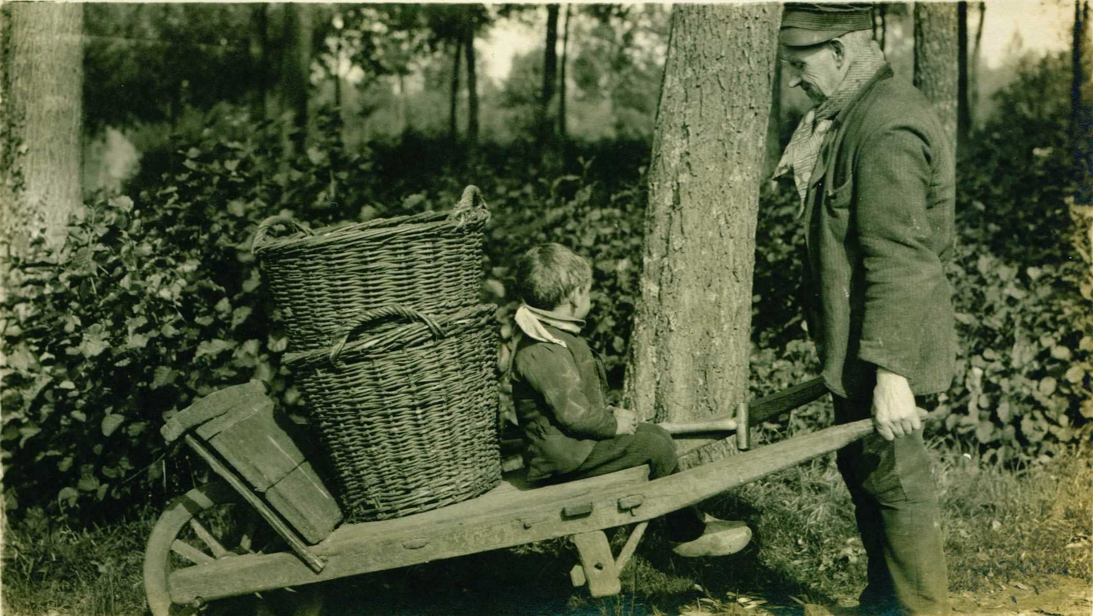 Typical Brabant farmer with cart and baskets for potato and beet harvest, 1912 (photographer: Andries Nielen. BHIC nr. DCVAR-000860)