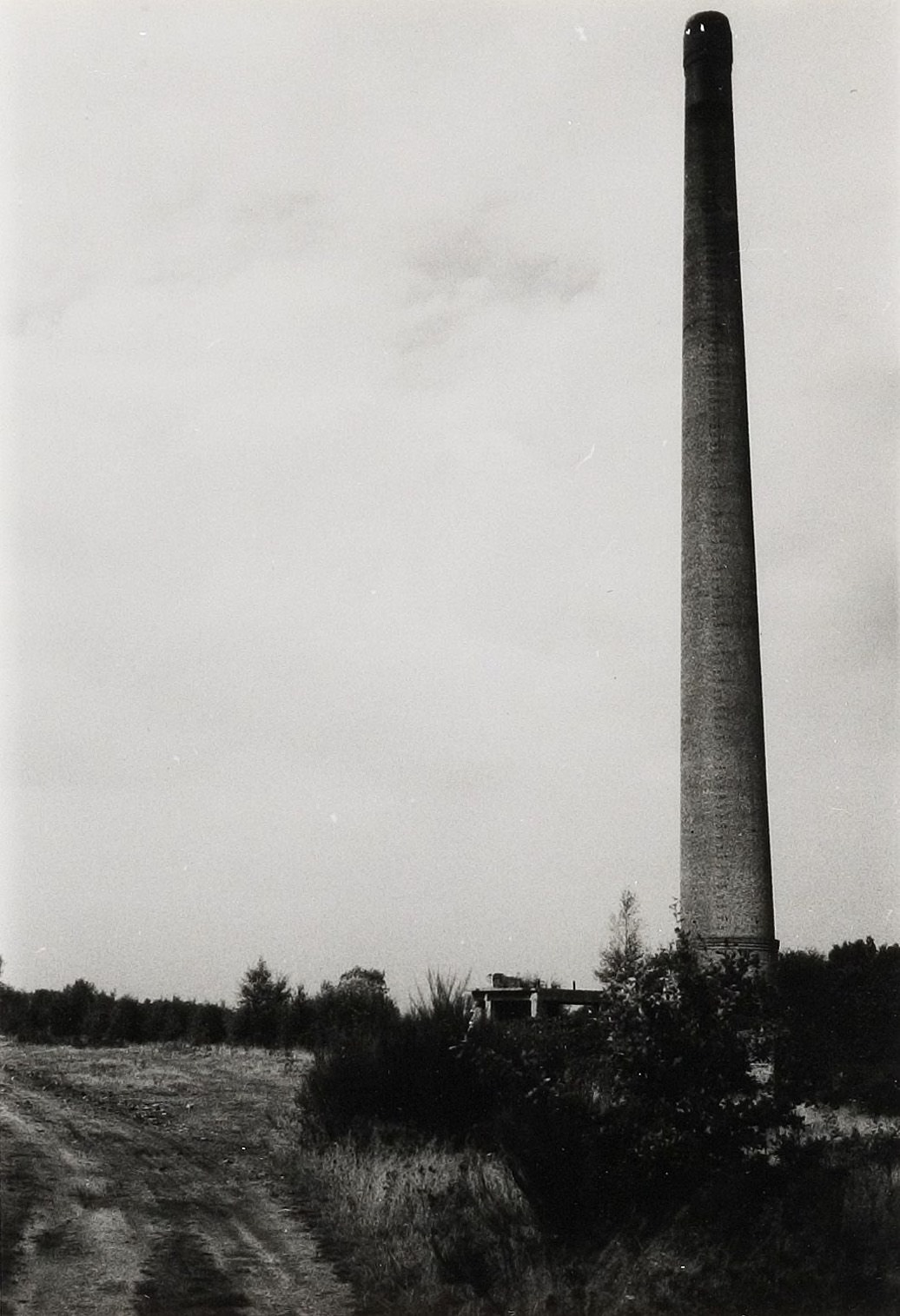Woensdrecht, Fabrieksschoorsteen. Gebouwd tussen 1900 en 1925, foto uit 1981 (PNB001077799)