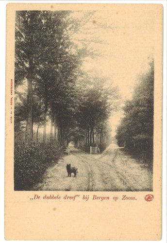 Woensdrecht, Woensdrecht - Dubbele Dreef; aan de Antwerpsestraatweg nabij Huize Mattemburgh (WBA, Foto Archief Bergen op Zoom, SDUD001)